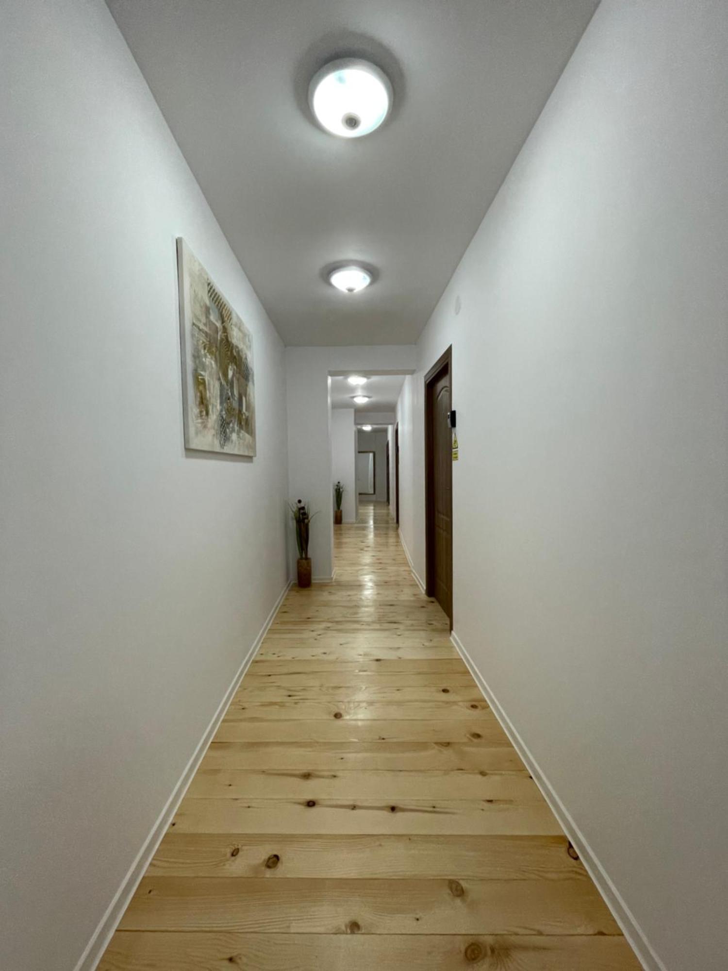 Schei Central Studios In The Heart Of בראשוב מראה חיצוני תמונה